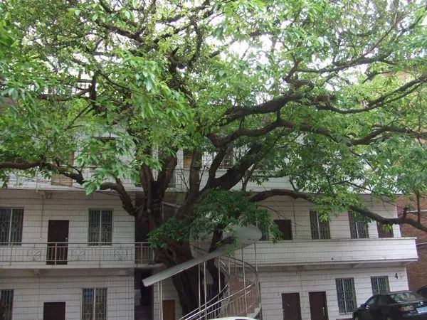 圖片2.png 圖片2.png