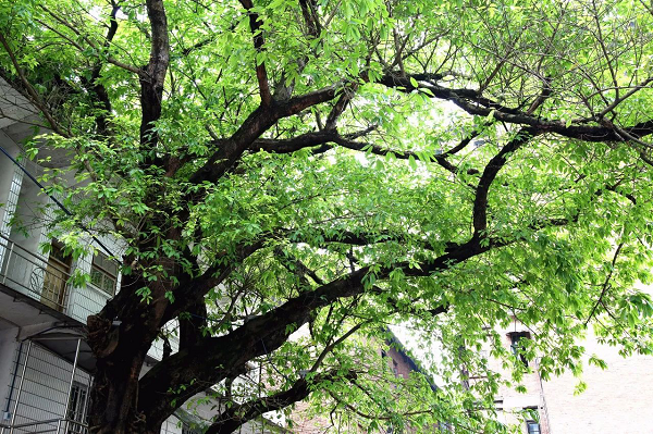 圖片3.png 圖片3.png