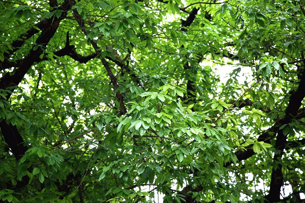 圖片5.png 圖片5.png