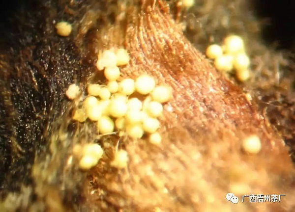 圖片5.png 圖片5.png