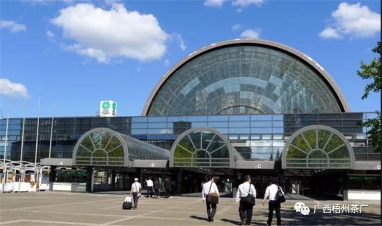 微信圖片_20190729140704_副本.jpg 微信圖片_20190729140704_副本.jpg