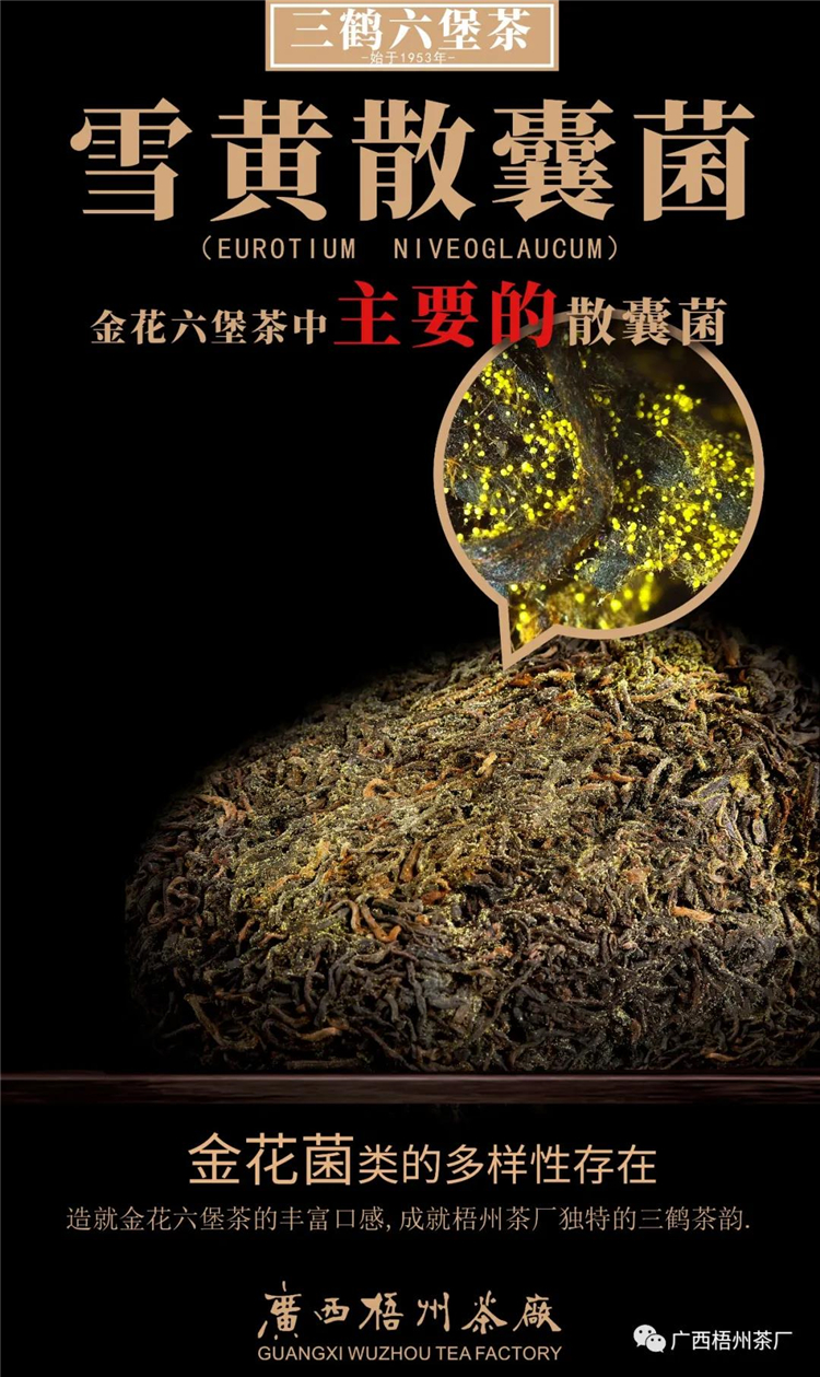 微信圖片_20200407083315_副本.jpg 微信圖片_20200407083315_副本.jpg